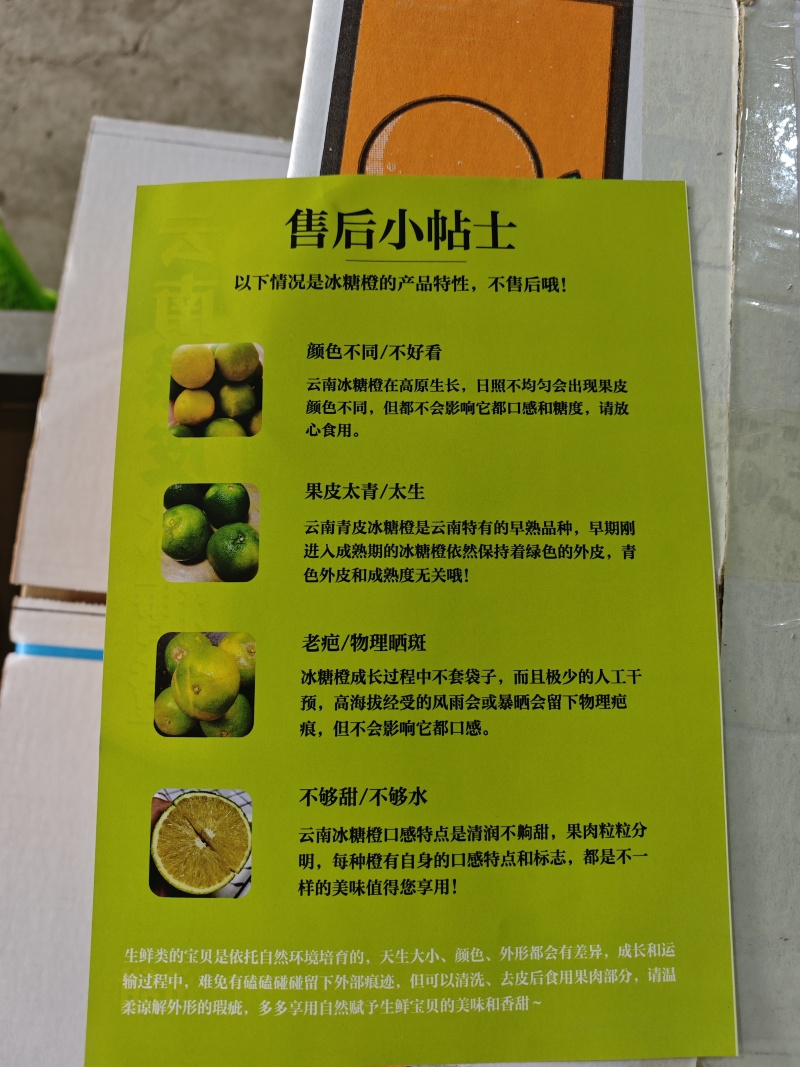 哀牢山冰糖橙一件代发