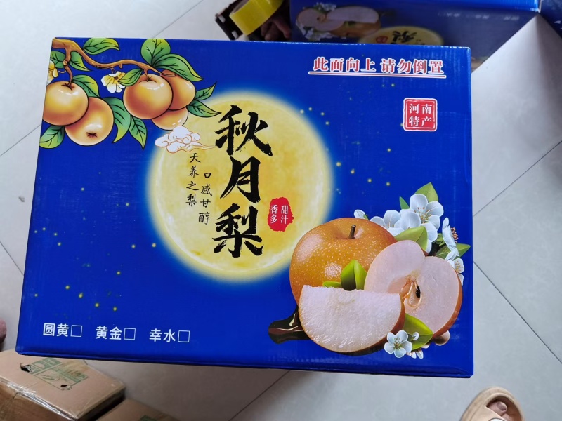 河南省漯河市舞阳县秋月梨
