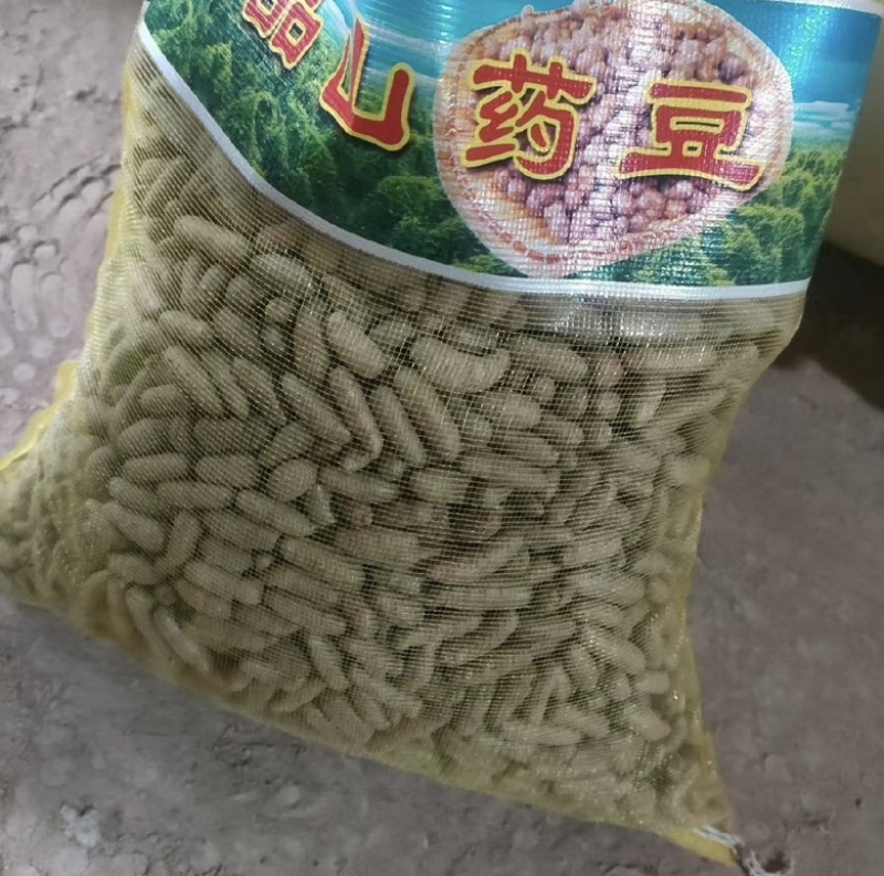 小白嘴山药豆，产地直供，颗粒饱满，香甜软糯，大量现货