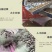 小白嘴山药豆，产地直供，颗粒饱满，香甜软糯，大量现货