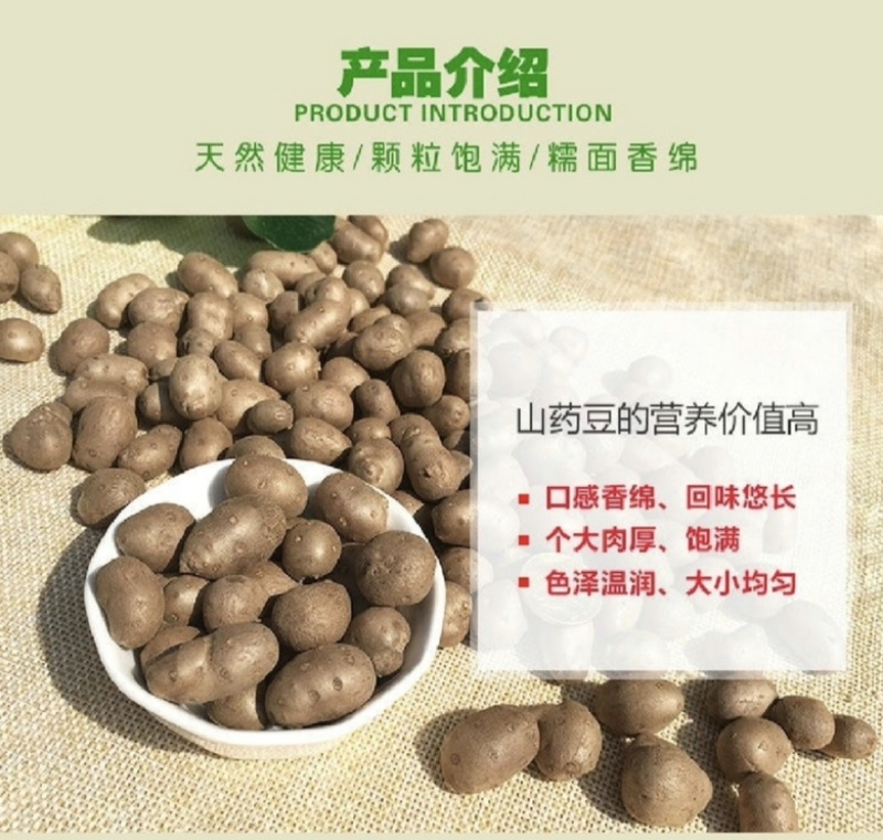 小白嘴山药豆，产地直供，颗粒饱满，香甜软糯，大量现货