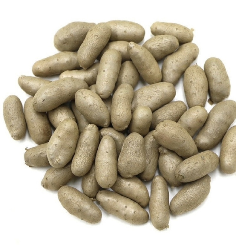 小白嘴山药豆，产地直供，颗粒饱满，香甜软糯，大量现货
