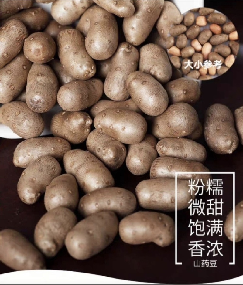 小白嘴山药豆，产地直供，颗粒饱满，香甜软糯，大量现货