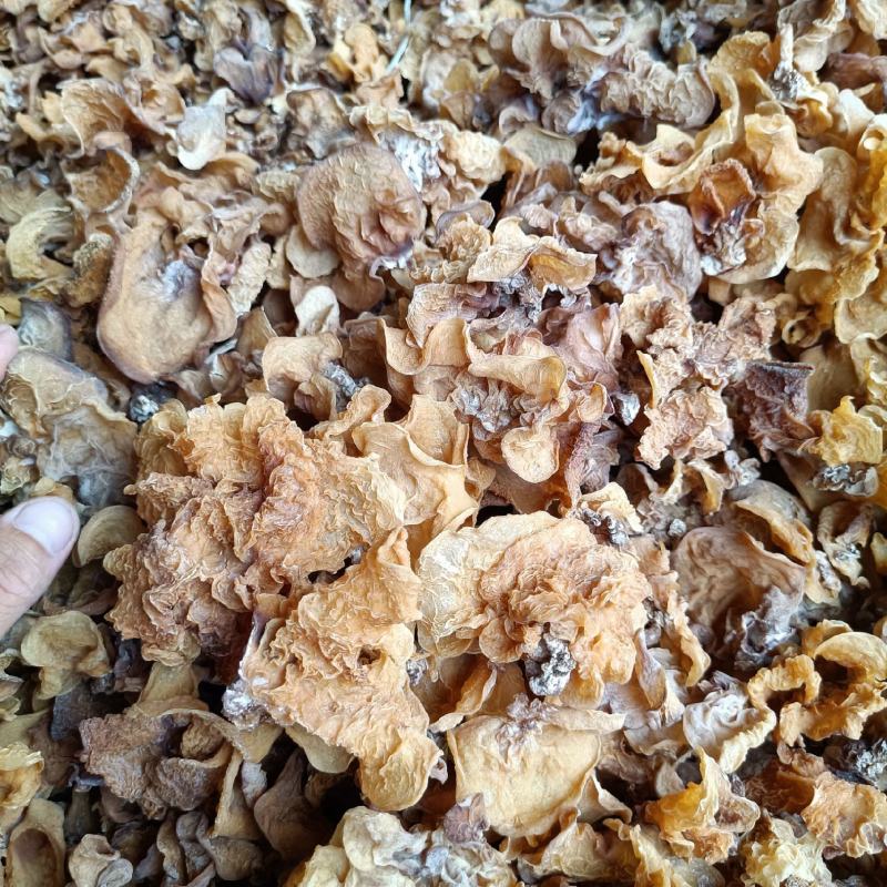 电商用羊肚耳鹿肚耳批发零售足干羊肚耳自产自销羊肚耳沙耳
