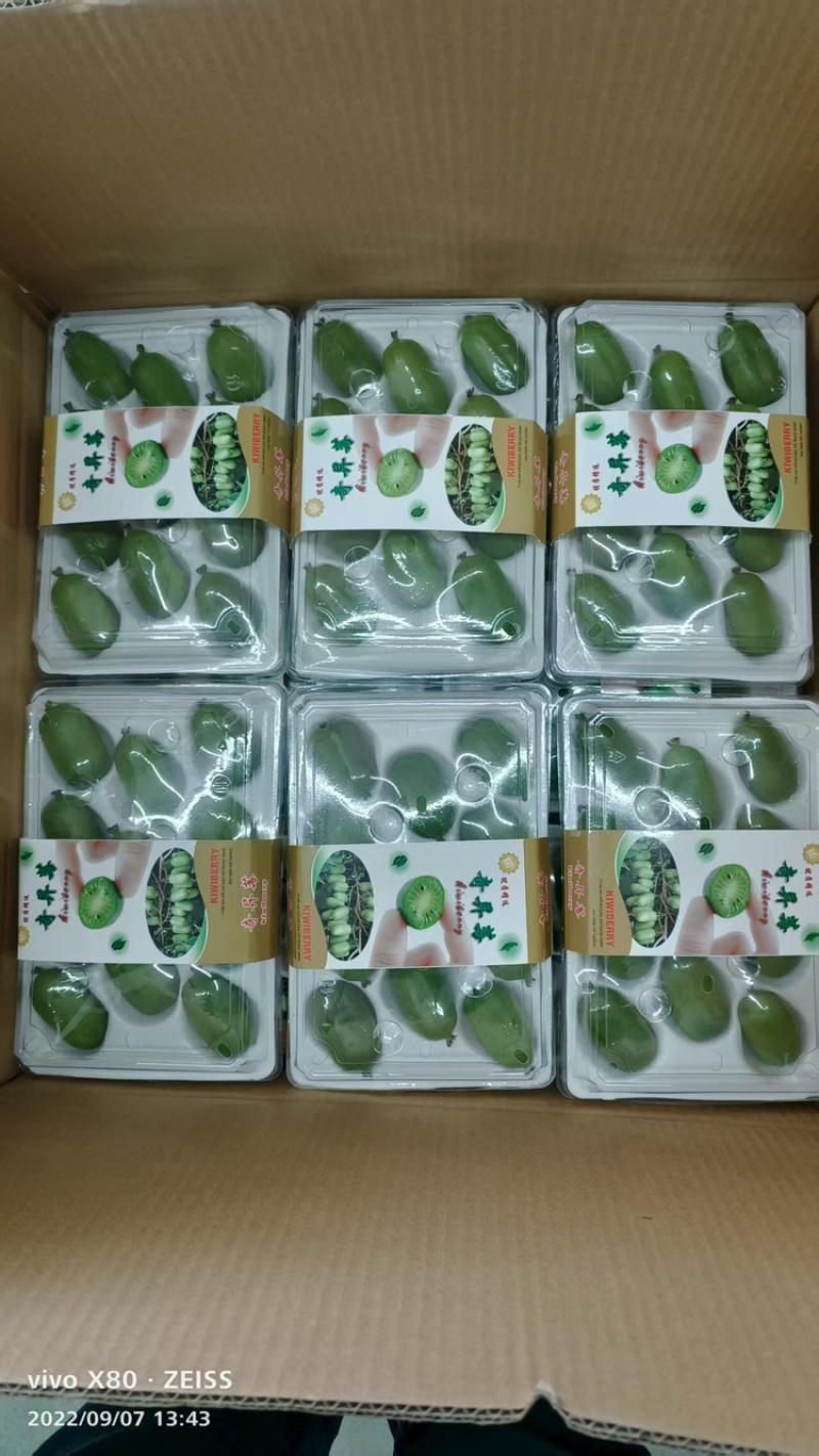 奇异莓，软枣猕猴桃大量上市，可视频看货，口感美味