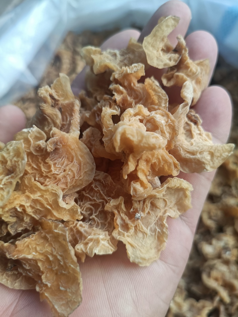 电商用羊肚耳鹿肚耳批发零售足干羊肚耳自产自销羊肚耳沙耳