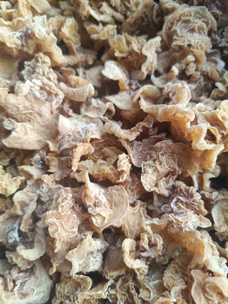 电商用羊肚耳鹿肚耳批发零售足干羊肚耳自产自销羊肚耳沙耳