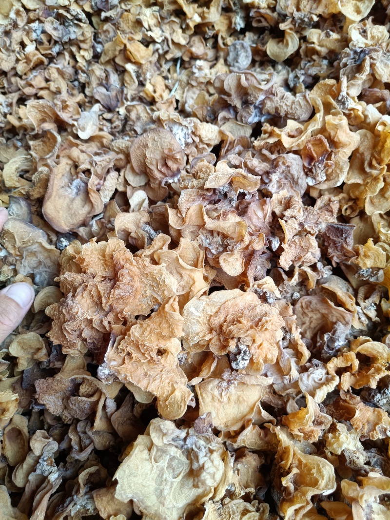 电商用羊肚耳鹿肚耳批发零售足干羊肚耳自产自销羊肚耳沙耳
