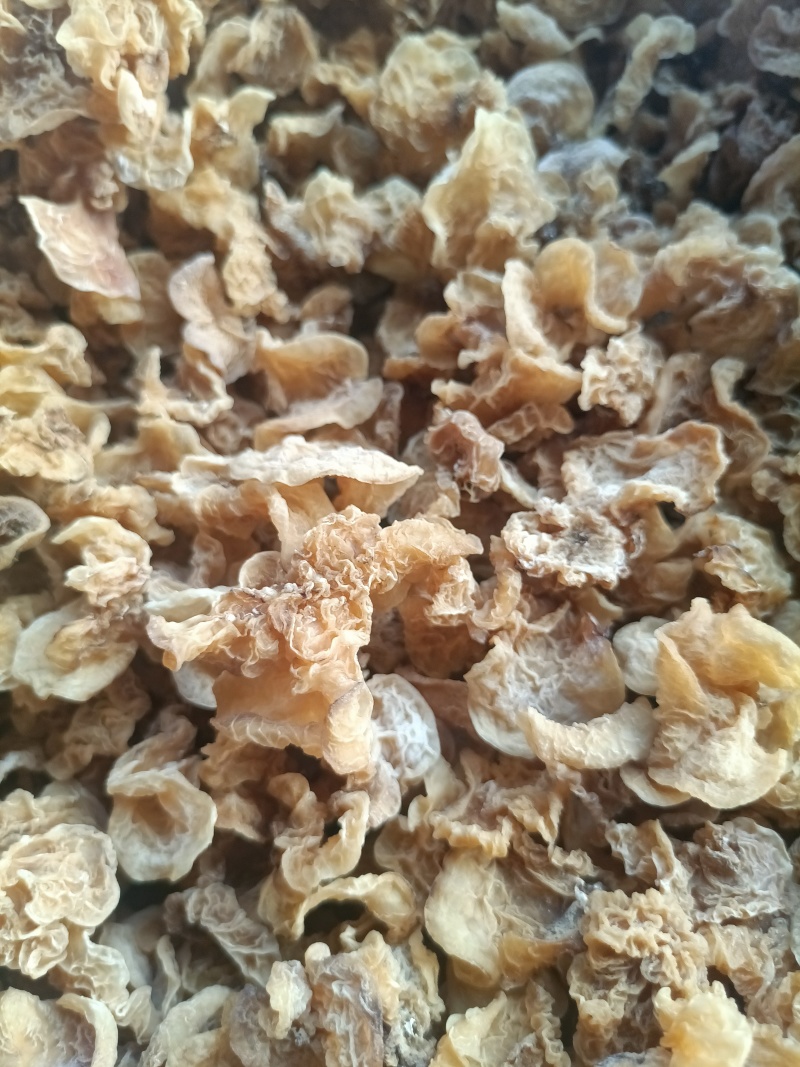 电商用羊肚耳鹿肚耳批发零售足干羊肚耳自产自销羊肚耳沙耳