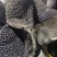 八分熟黑牛肚