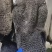 八分熟黑牛肚