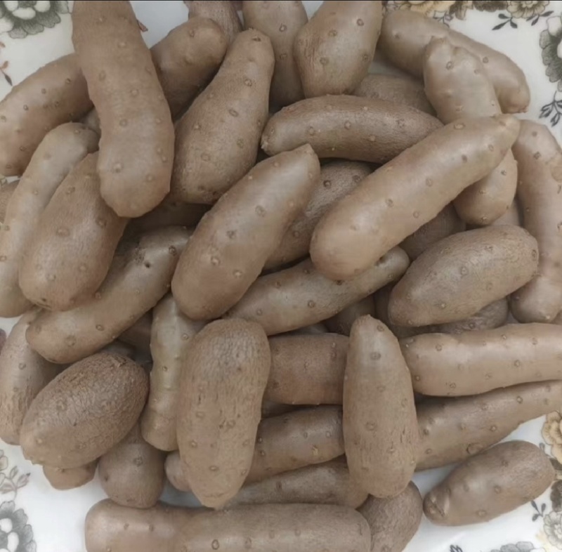小白嘴山药豆，产地直供，颗粒饱满，香甜软糯，大量现货