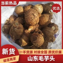 新鲜上市毛芋头，大球，中球，小球规格齐全货源充足常年供货