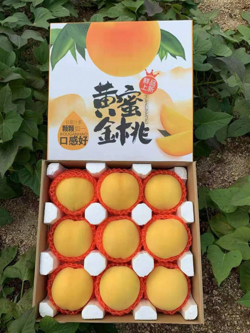 黄金桃大量上市支持全国发货来电咨询更优惠