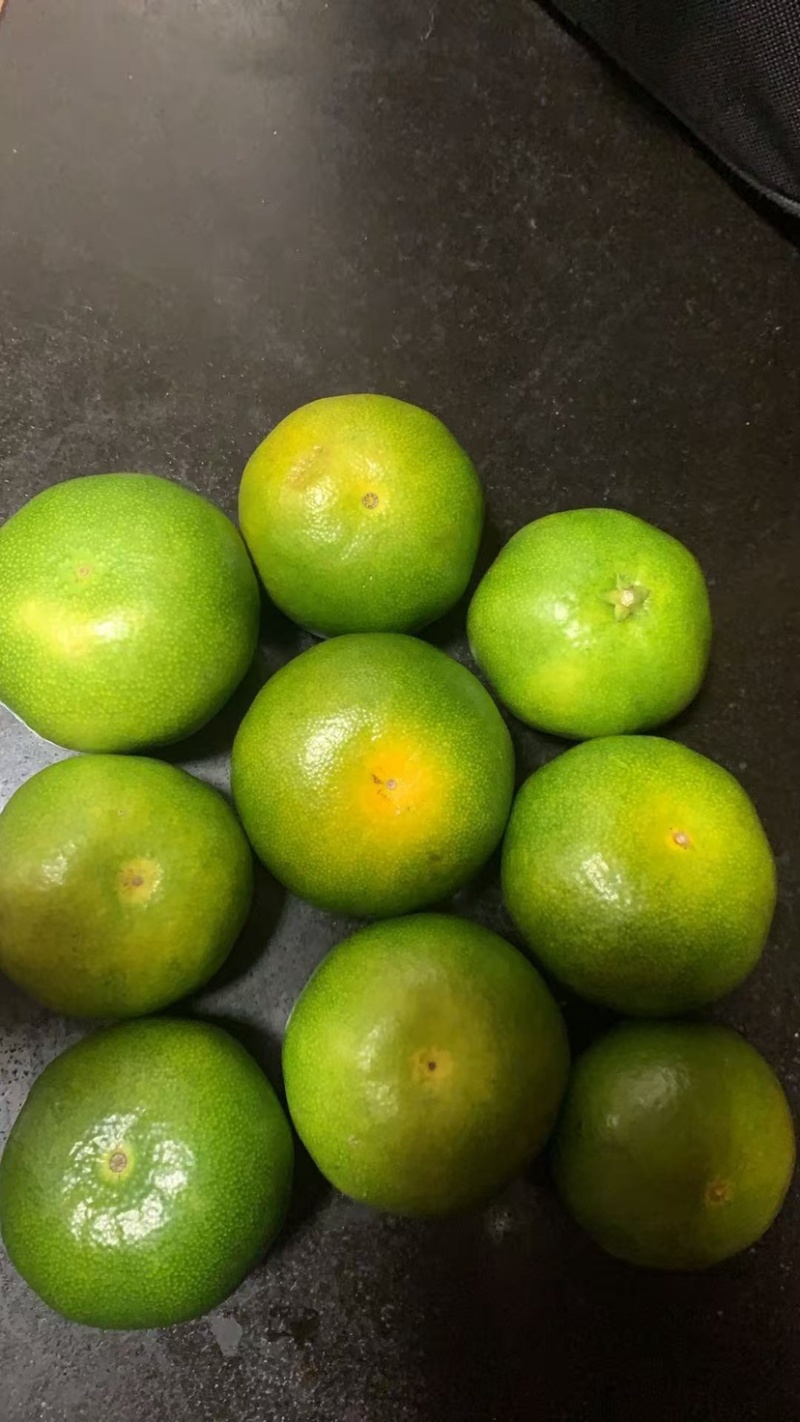 特早熟蜜桔