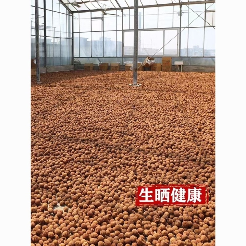 荔枝干批发新货糯米荔枝干肉薄皮精选大果年货干果