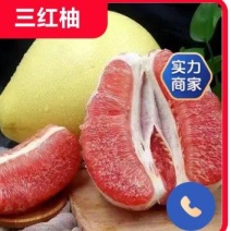 乐山套袋三红柚产地直供，一手货源，全国供货