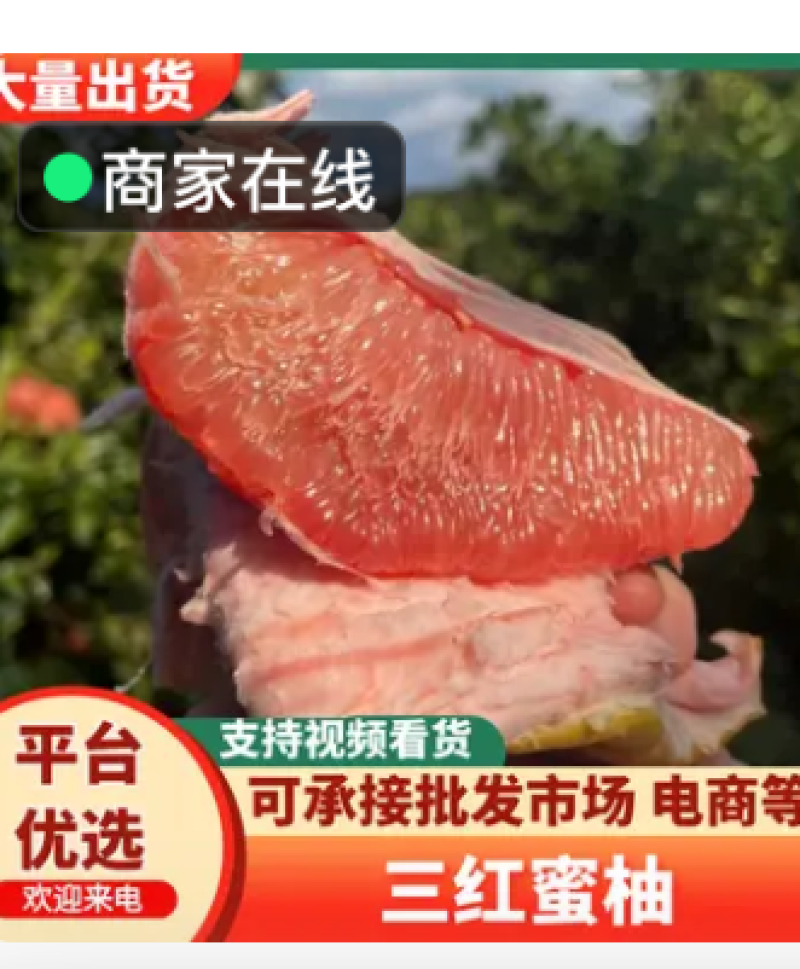 乐山套袋三红柚产地直供，一手货源，全国供货