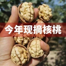 185纸皮核桃整箱批发新疆阿克苏核桃原味薄皮