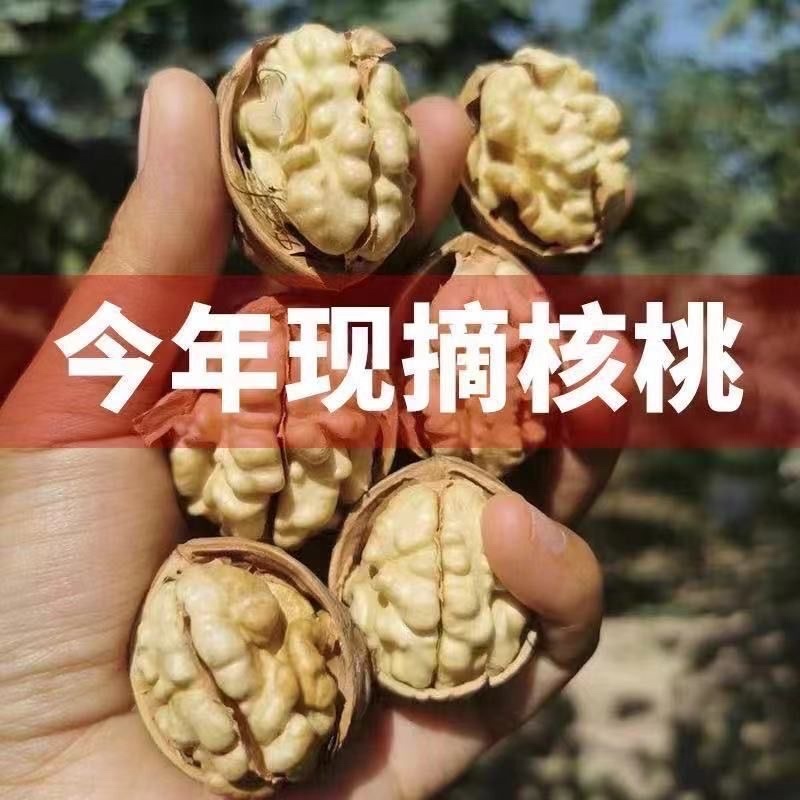 185纸皮核桃整箱批发新疆阿克苏核桃原味薄皮