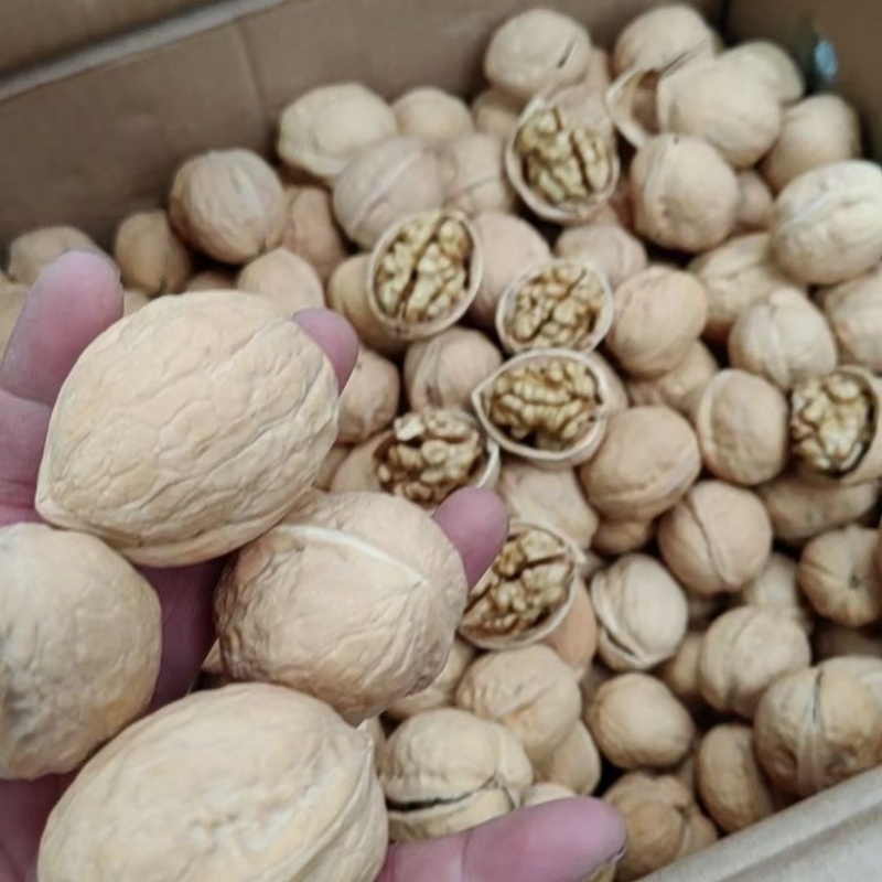 185纸皮核桃整箱批发新疆阿克苏核桃原味薄皮