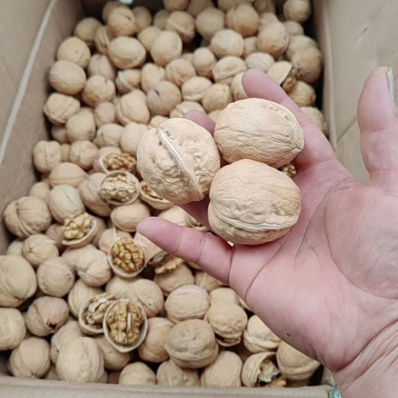 185纸皮核桃整箱批发新疆阿克苏核桃原味薄皮