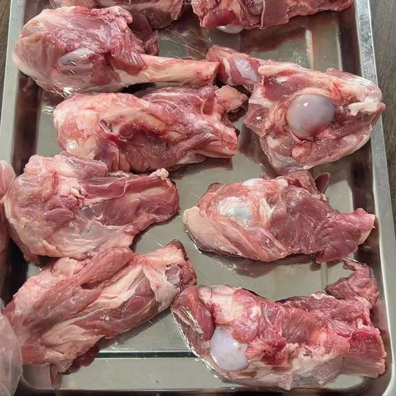 内蒙古超满肉羊棒骨，满肉满骨髓