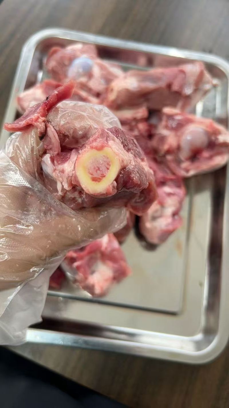 内蒙古超满肉羊棒骨，满肉满骨髓
