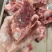 内蒙古超满肉羊棒骨，满肉满骨髓