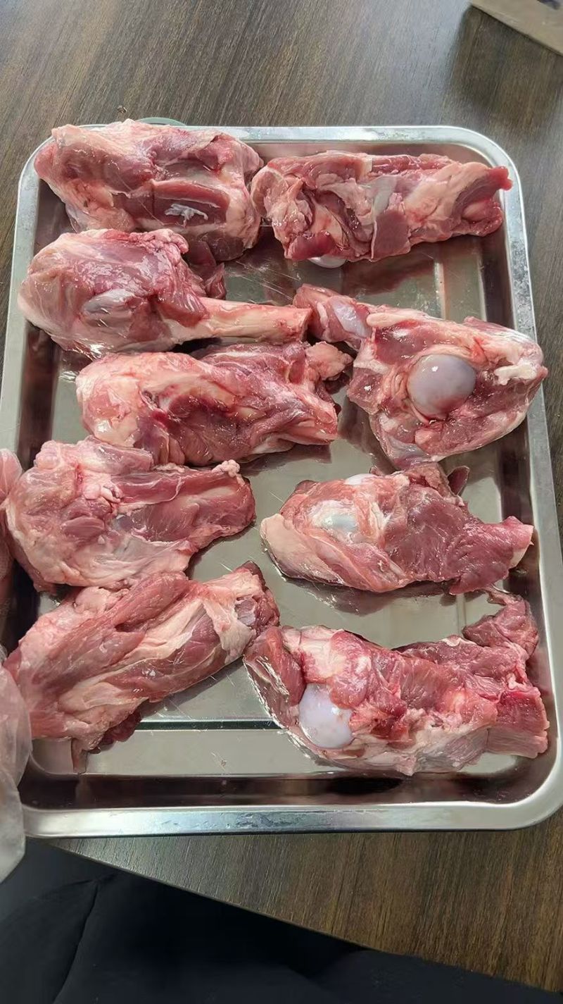 内蒙古超满肉羊棒骨，满肉满骨髓