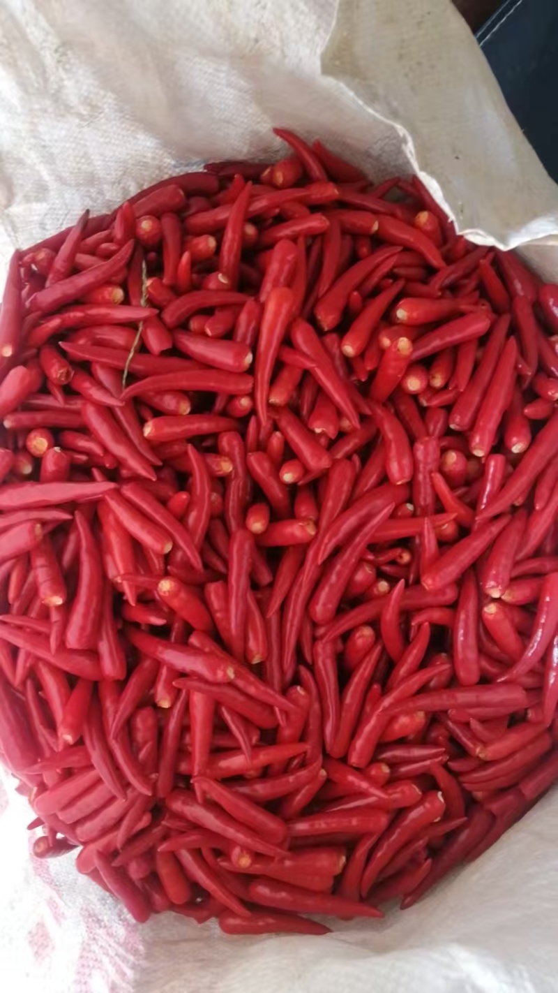 小米辣