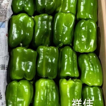 绿彩椒