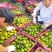 特早蜜橘已上市（大批量提供，其他品种也大量提供）