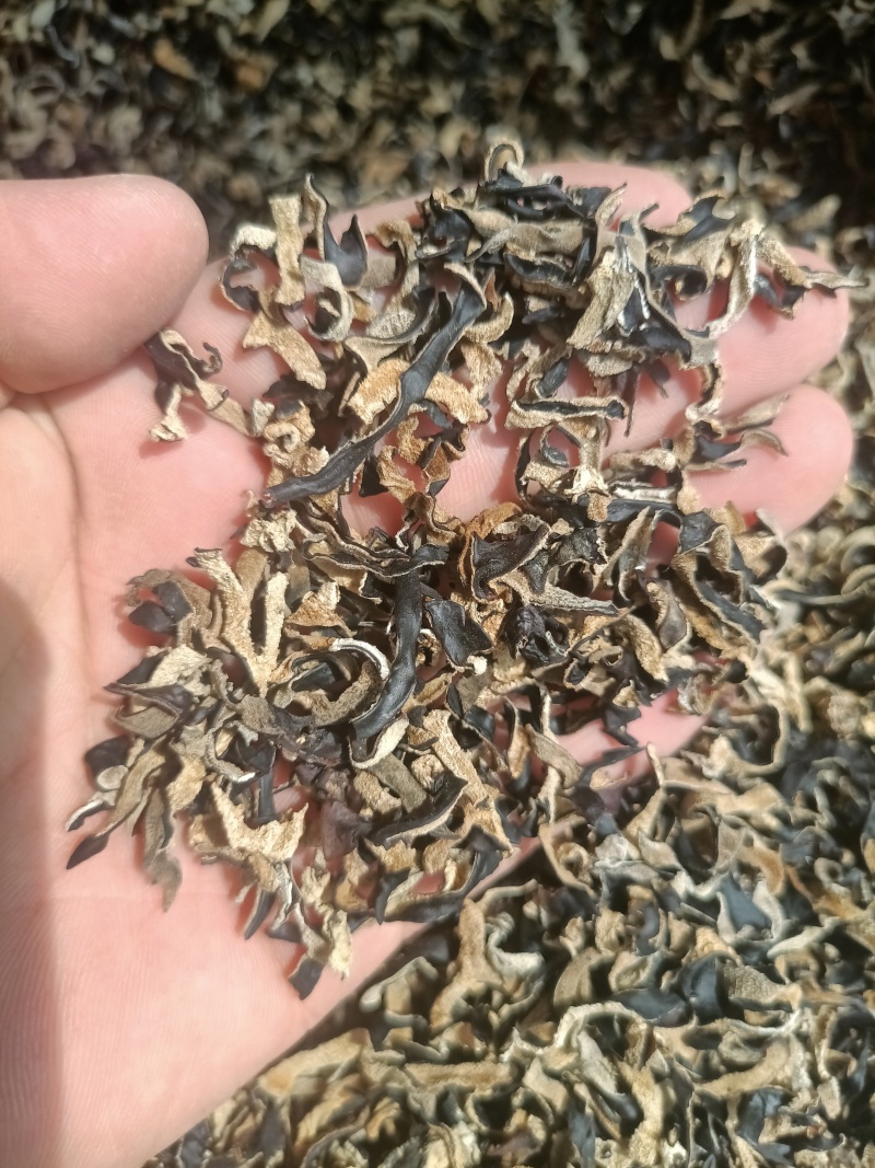 电商用木耳丝碎木耳丝1-2公分短木耳丝便宜木耳丝足干木耳