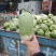青萝卜