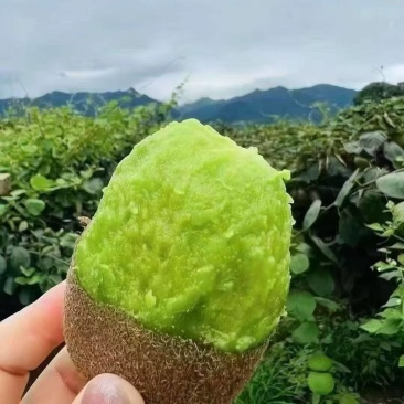 陕西徐香猕猴桃一件代发对接全国商超电商