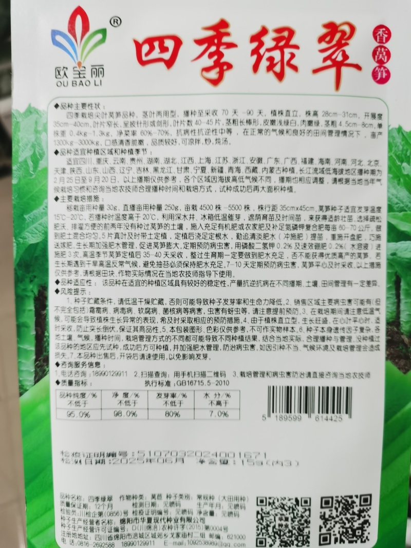 四季绿翠紫罗兰种子口感好产量高