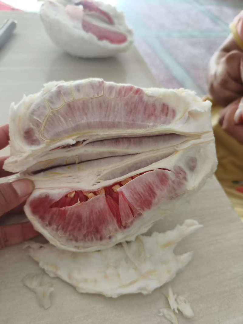 红心柚，大量上市，基地直发，鲜货供应，可对接全国