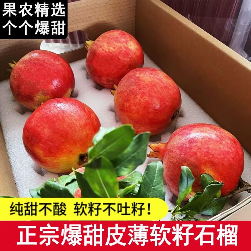 《精选》四川突尼斯软籽石榴基地直发保质保量一条龙服务