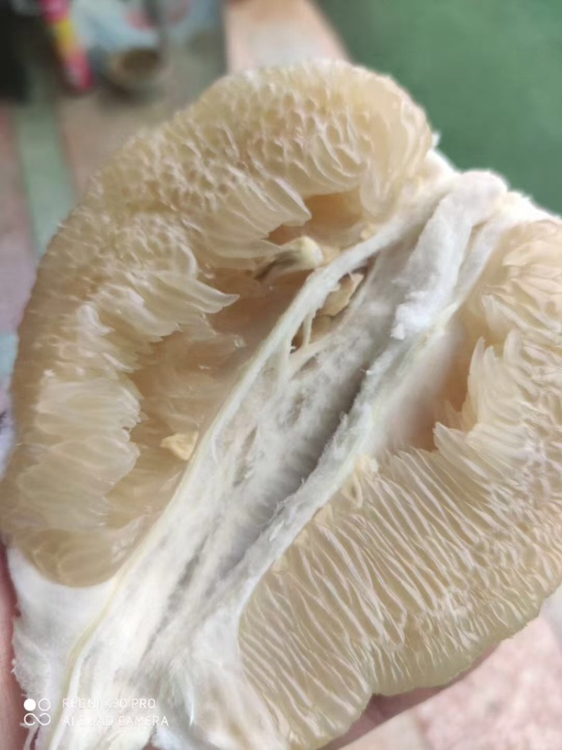 白心柚，产地直供，大量有货，可对接全国商超市场
