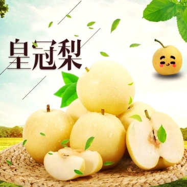 皇冠梨代发全国大量供应可视频看货质优价廉