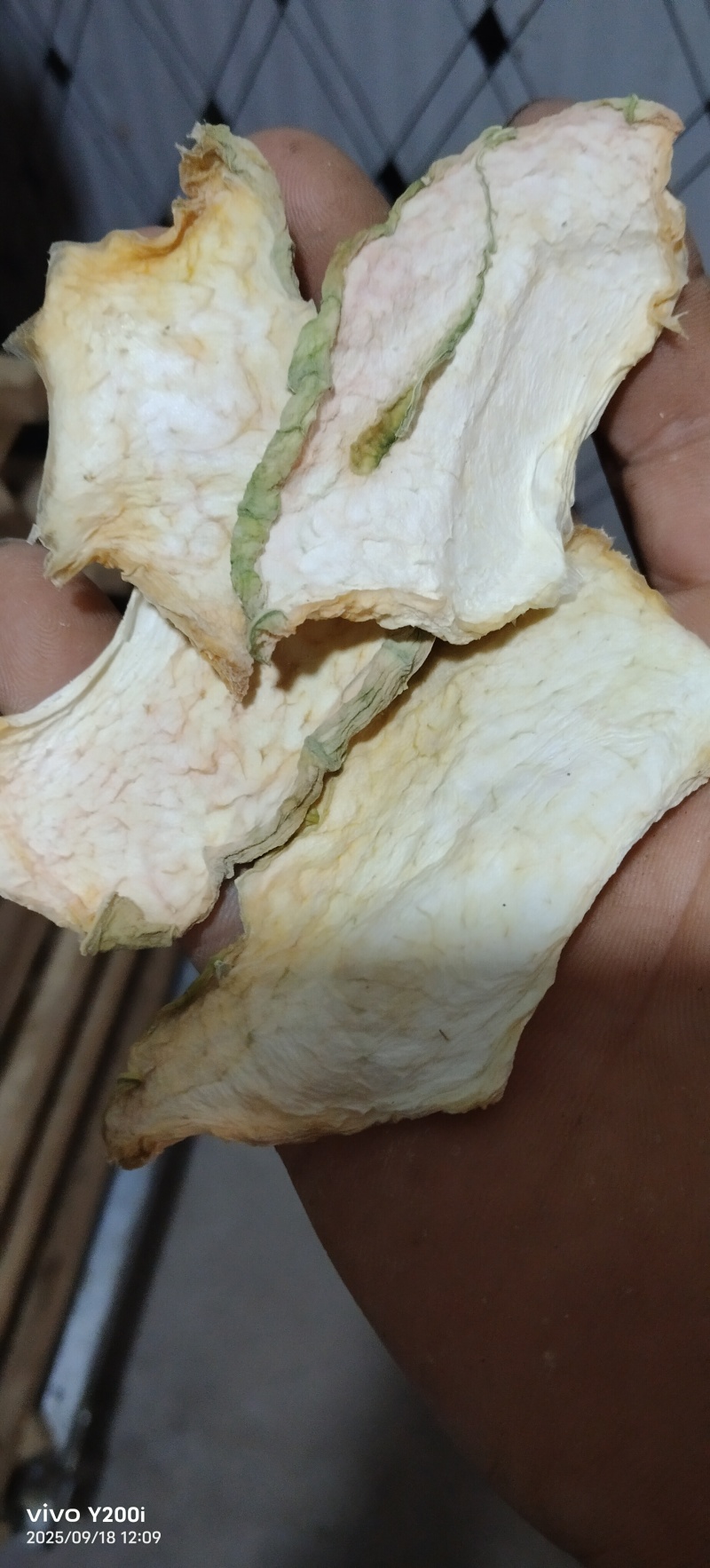 冬瓜干干冬瓜低温烘干工艺，量大价优/厂家直供