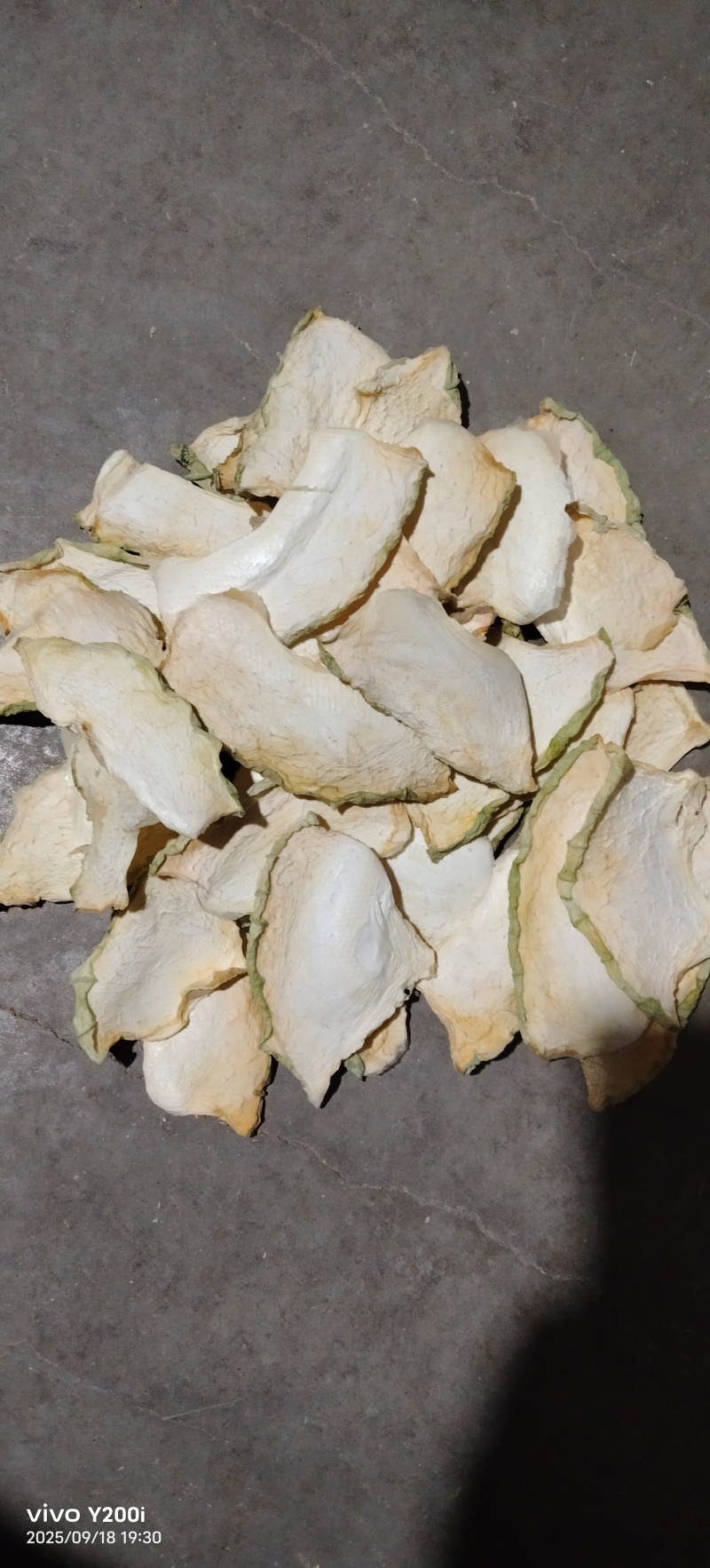 冬瓜干干冬瓜低温烘干工艺，量大价优/厂家直供