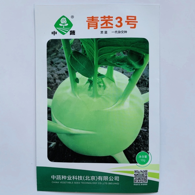 中蔬青苤3号苤蓝种子扁圆形春秋水果苤蓝种子农科院青苤兰种