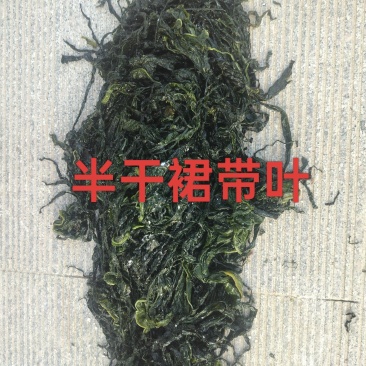 半干裙带菜，纯绿嫩菜叶，翠嫩丝滑爽口，高泡发率1斤泡4斤