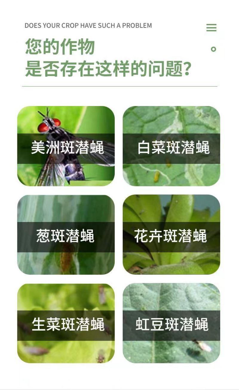 70%阿维灭蝇胺杀虫剂美洲斑潜蝇潜叶蛾鬼画符地图虫瓜果蝇