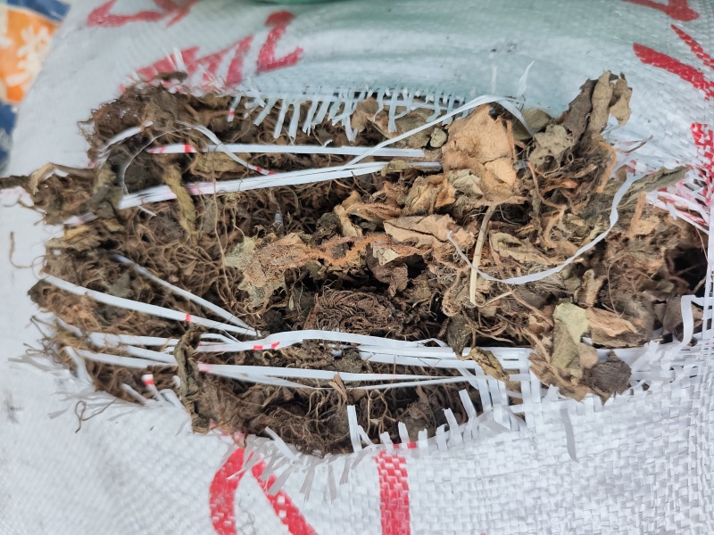 贵州水洗晒干野生药材虎耳草干货虎儿草无硫无杂质产地直发