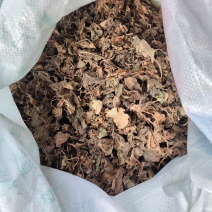 贵州水洗晒干野生药材虎耳草干货虎儿草无硫无杂质产地直发