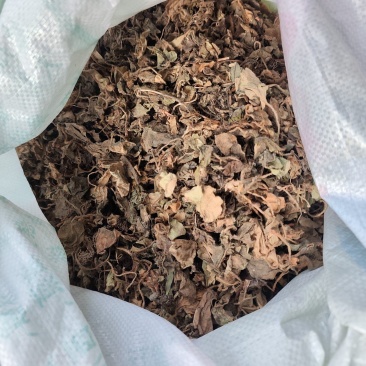 贵州水洗晒干野生药材虎耳草干货虎儿草无硫无杂质产地直发
