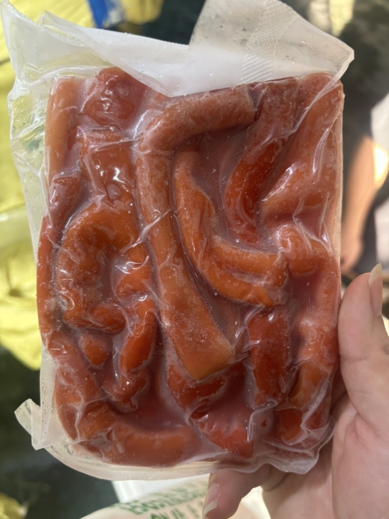 海肠